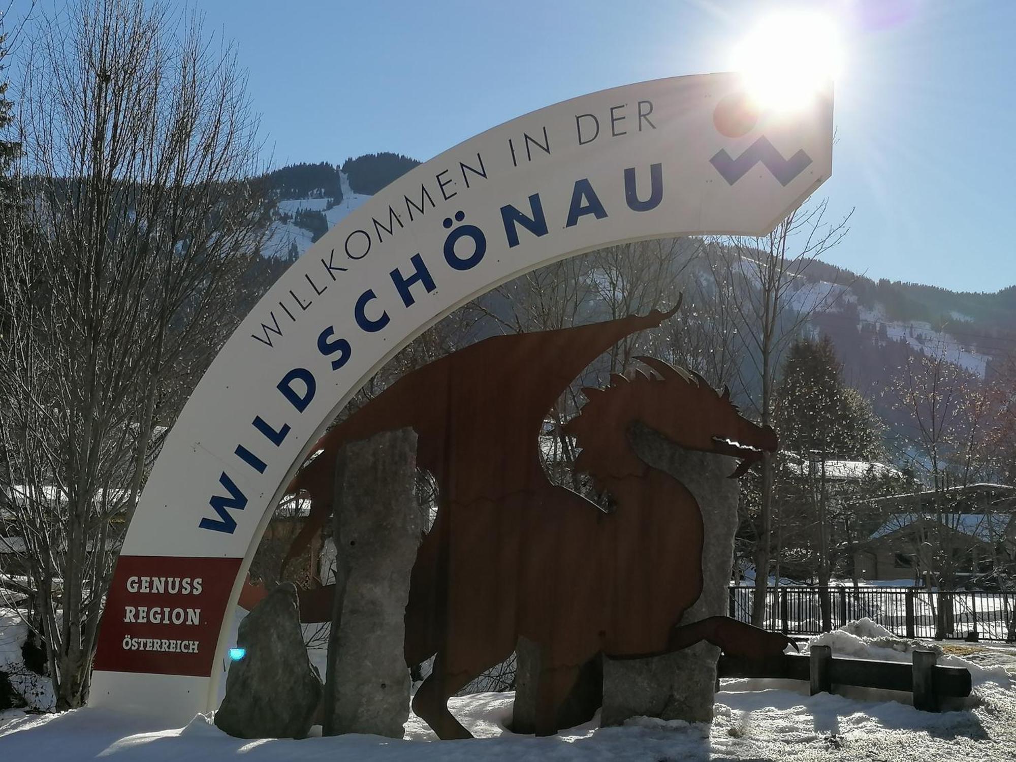 Ferienwohnung Wildschoenau By Fewo-Plan In Panoramalage Wild191 Thierbach Kültér fotó